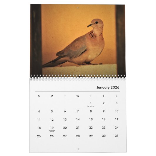 Schöne Tauben-Kalender Kalender (Jan 2026)