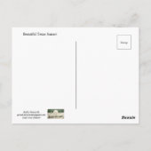 Schöne Texas Sunset Postkarte (Rückseite)