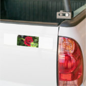Schöne tiefe Rote Rose Autoaufkleber (Auf Lkw)