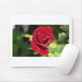 Schöne tiefe Rote Rose Mousepad (Mit Mouse)