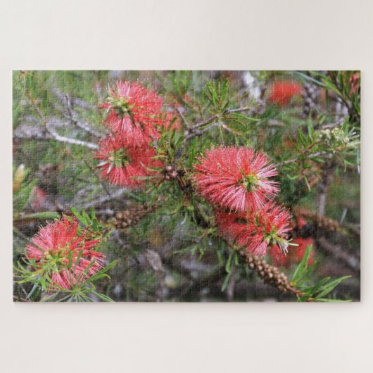 Schöne, tiefrosa, australische Bottlebrush Puzzle (Horizontal)