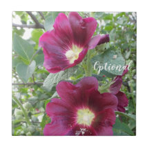 Schöne tiefrote Blume und grüne Blätter