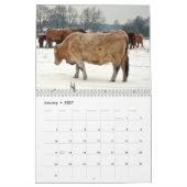 Schöne Tier-12-monatiger Kalender für 2016 (Jan 2027)