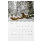 Schöne Tier-12-monatiger Kalender für 2016 (Feb 2027)
