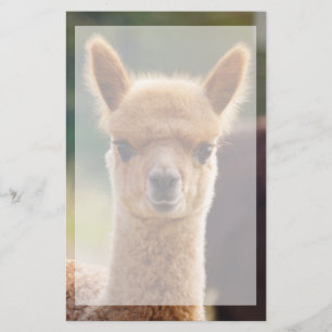 Schöne Tier Alpaca Stationierung Briefpapier