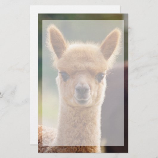 Schöne Tier Alpaca Stationierung Briefpapier (Vorne/Hinten)