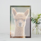 Schöne Tier Alpaca Stationierung Briefpapier (Stehend Vorderseite)