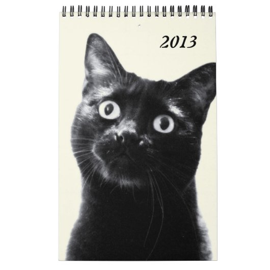 schöne Tiere - Kalender (Singleseite) (Titelbild)