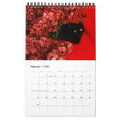 schöne Tiere - Kalender (Singleseite) (Feb 2027)