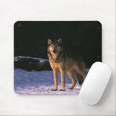 schöne Tiere vom wilden Mousepad (Mit Mouse)