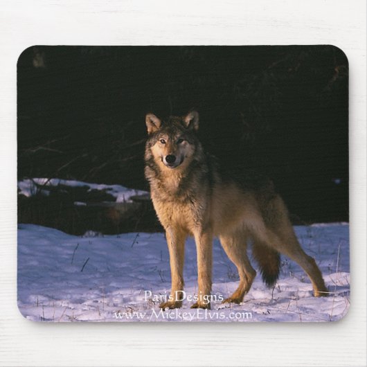 schöne Tiere vom wilden Mousepad (Vorne)