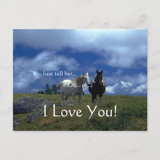 Schöne Tierkarten Feiertagspostkarte (Vorderseite)