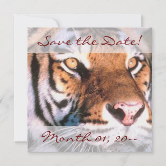 Schöne Tiger-Ankündigungen Save The Date