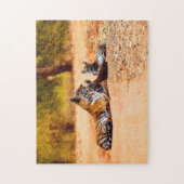 Schöne Tiger Familie, Jigsaw Puzzle (Vertikal)