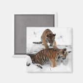 Schöne Tigerjungen spielen im Schnee Magnet (Vorderseite/Rückseite)