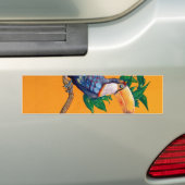 Schöne Toucan Bird Malerei Autoaufkleber (Auf Auto)