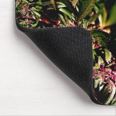 Schöne Traube.... Mousepad (Ecke)