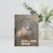 Schöne Traum Postkarte (Stehend Vorderseite)