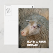 Schöne Traum Postkarte (Vorne/Hinten)