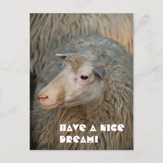 Schöne Traum Postkarte (Vorderseite)