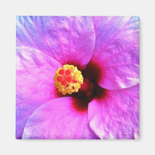 Schöne trendige rosa lila Blume Natur Magnet
