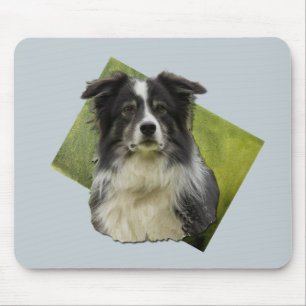 Schöne Tri Colored Border Collie über grüne Kunst Mousepad