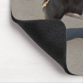 Schöne, trifarbige Bullterre Mousepad (Ecke)