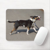 Schöne, trifarbige Bullterre Mousepad (Mit Mouse)