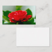 Schöne Tropfen der Rote Rose morgens Mitteilungskarte (Vorne/Hinten)