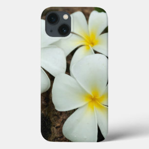 Schöne tropische Blüten im Südpazifik Case-Mate iPhone Hülle