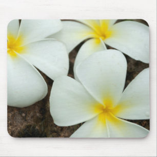 Schöne tropische Blüten im Südpazifik Mousepad