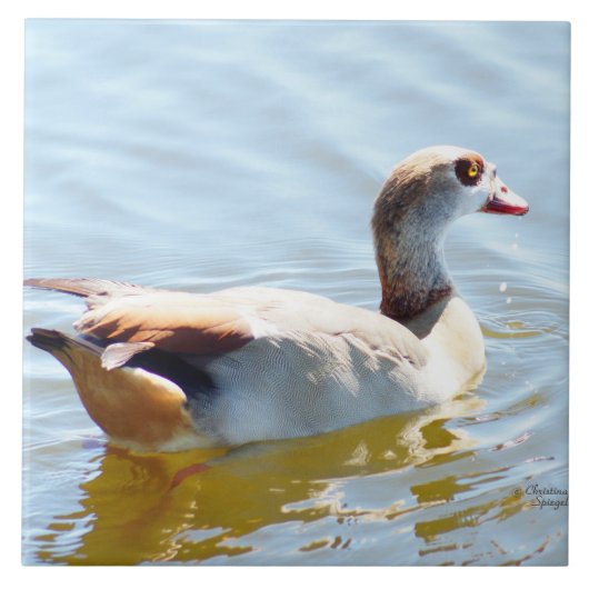 Schöne tropische Ente Tile Fliese (Vorderseite)