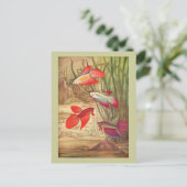 Schöne Tropische Fischkarte Postkarte (Stehend Vorderseite)