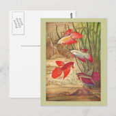 Schöne Tropische Fischkarte Postkarte (Vorne/Hinten)