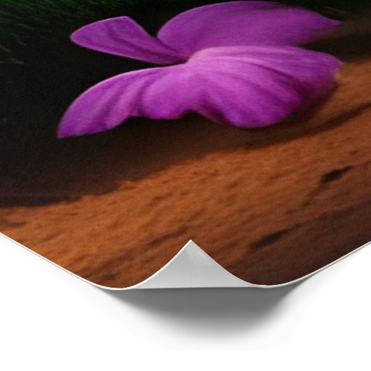 Schöne tropische Insel mit Blick aufs Meer Palmen Poster (Ecke)