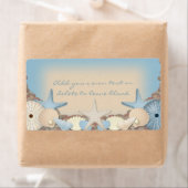 Schöne tropische Muscheln (Insitu)