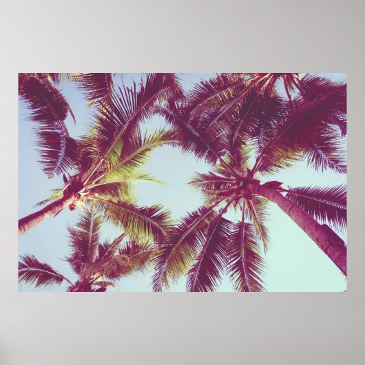 Schöne tropische Palmen um das Meer herum Poster (Vorne)