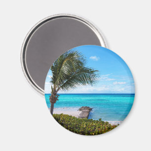 Schöne tropische Strandbrise Palmenbaum Magnet