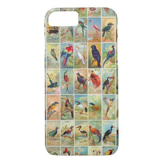 Schöne tropische Vogel19. jahrhundert Illustration Case-Mate iPhone Hülle (Rückseite)