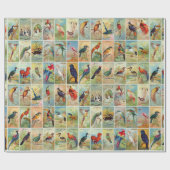 Schöne tropische Vögel Illustration aus dem 19. Ja Geschenkpapier (Flach)