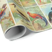 Schöne tropische Vögel Illustration aus dem 19. Ja Geschenkpapier (Rolleneckpunkt)