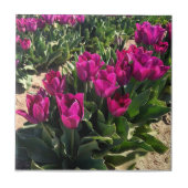 Schöne Tulips Fliese (Vorderseite)