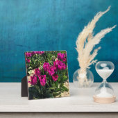 Schöne Tulips Fotoplatte (InSitu)