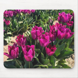 Schöne Tulips Mousepad