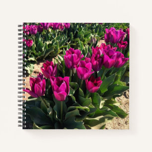 Schöne Tulips Notizblock