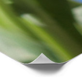 Schöne Tulips Poster (Ecke)