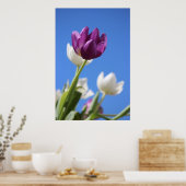 Schöne Tulips Poster (Küche)