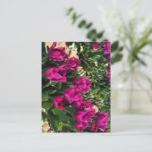 Schöne Tulips Postkarte (Stehend Vorderseite)