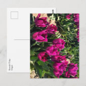 Schöne Tulips Postkarte (Vorne/Hinten)