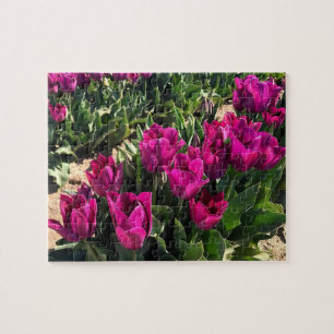 Schöne Tulips Puzzle